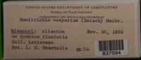 Image Associated With the Occurence